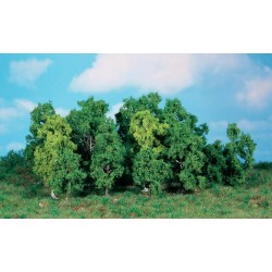 14 árboles de 5 a 12 cm 1992 HEKI