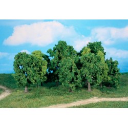 12 árboles de 8 a 13 cm 1993 HEKI