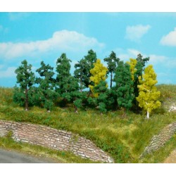 25 árboles de 4 a 6 cm 1231 HEKI