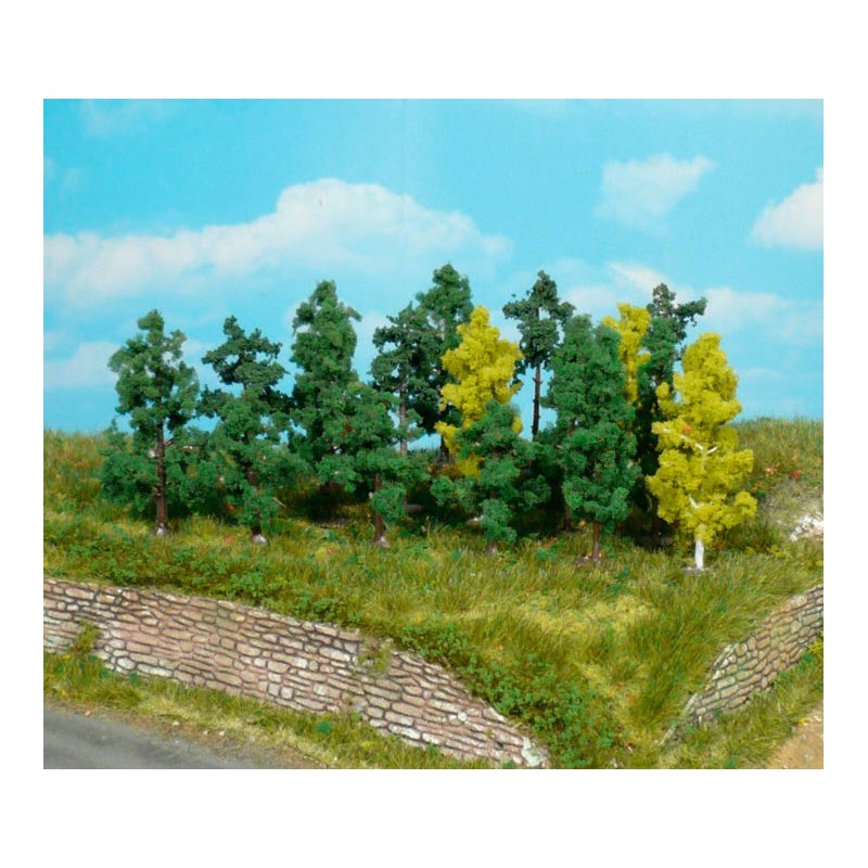 25 árboles de 4 a 6 cm 1231 HEKI
