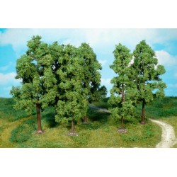 6 hayas de 18 cm 1761 HEKI