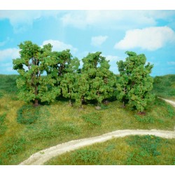 12 árboles de 6 a 13 cm 1415 HEKI