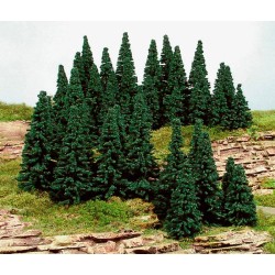 100 abetos de 5 a 7 cm 2191 HEKI