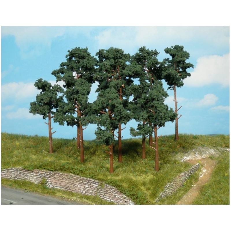 Pinos silvestres de 10 a 16 cm 1413 HEKI