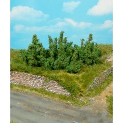 10 arbustos de 3 cm 1725 HEKI