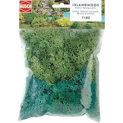 Líquenes 7102 Busch