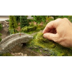 Arbustos 07311 NOCH Escala