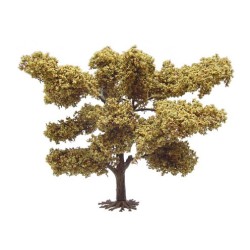Acacia Africana de 13,5 cm 5100 Aneste