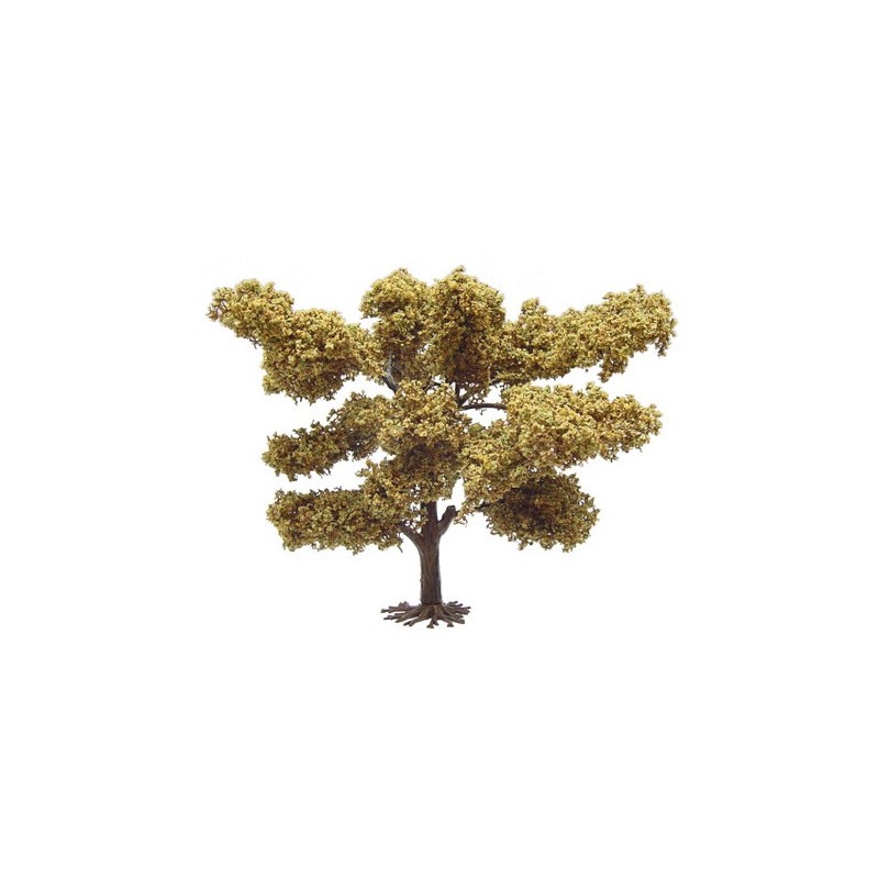 Acacia Africana de 13,5 cm 5100 Aneste