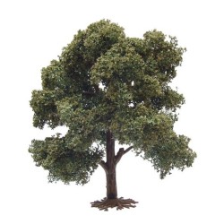 Encina de 14 cm 5103 Aneste