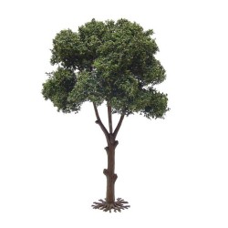 Pino mediterráneo de 18 cm 5104 Aneste