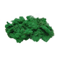 Musgo Islamond verde medio 763 Aneste