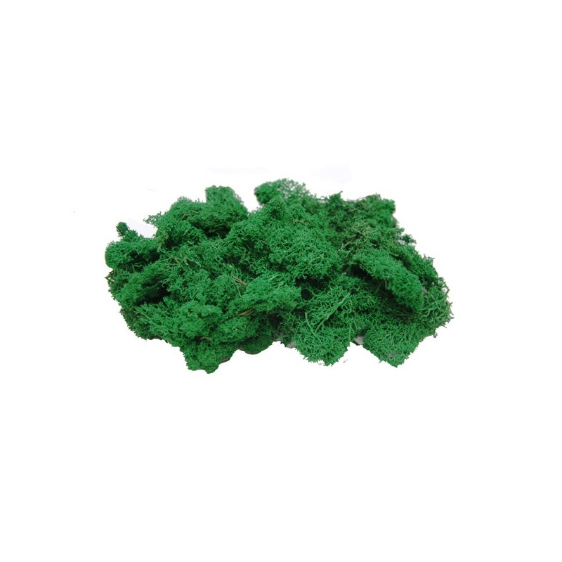 Musgo Islamond verde medio 763 Aneste