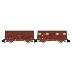 Set 2 vagones J2 con luz de cola RENFE HN6718 Arnold Escala N