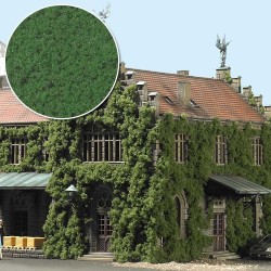 Mata de hiedra y enredadera verde medio 7342 Busch