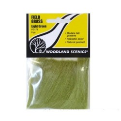 Hierba natural color verde claro Woodland Scenic FG173