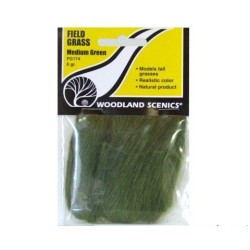 Hierba natural color verde oscuro Woodland Scenic FG174