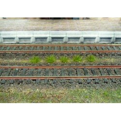 100 matojos de hierba verde verano 1801 HEKI