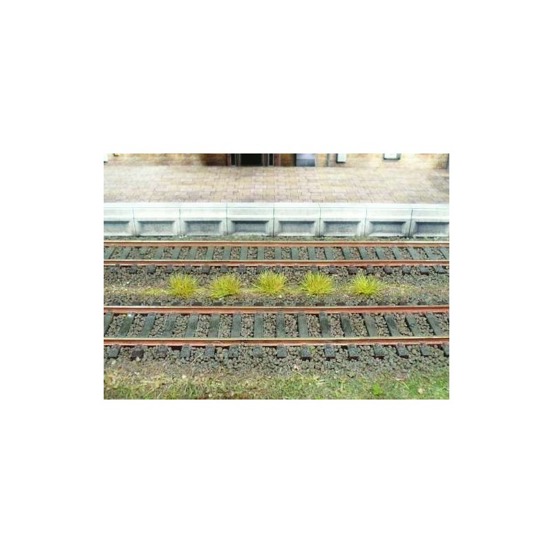100 matojos de hierba verde otoño 1802 HEKI