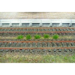 100 matojos de hierba verde oscuro 1803 HEKI