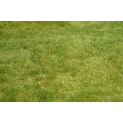 Manto de hierba realista verde primavera 1841 HEKI