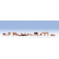 Cerdos 36712 NOCH Escala N