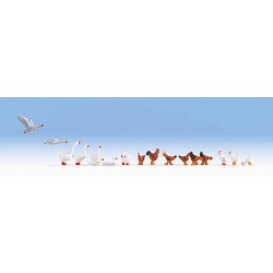 Gallinas y ocas 15772 NOCH Escala H0
