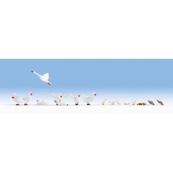 Cisnes y patos 15774 NOCH Escala H0