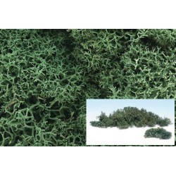 Liquenes color verde claro L162 Woodland Scenic