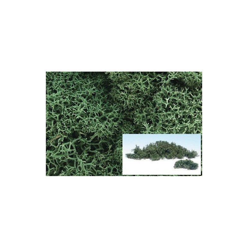 Liquenes color verde claro L162 Woodland Scenic