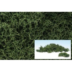 Liquenes color verde medio L163 Woodland Scenic