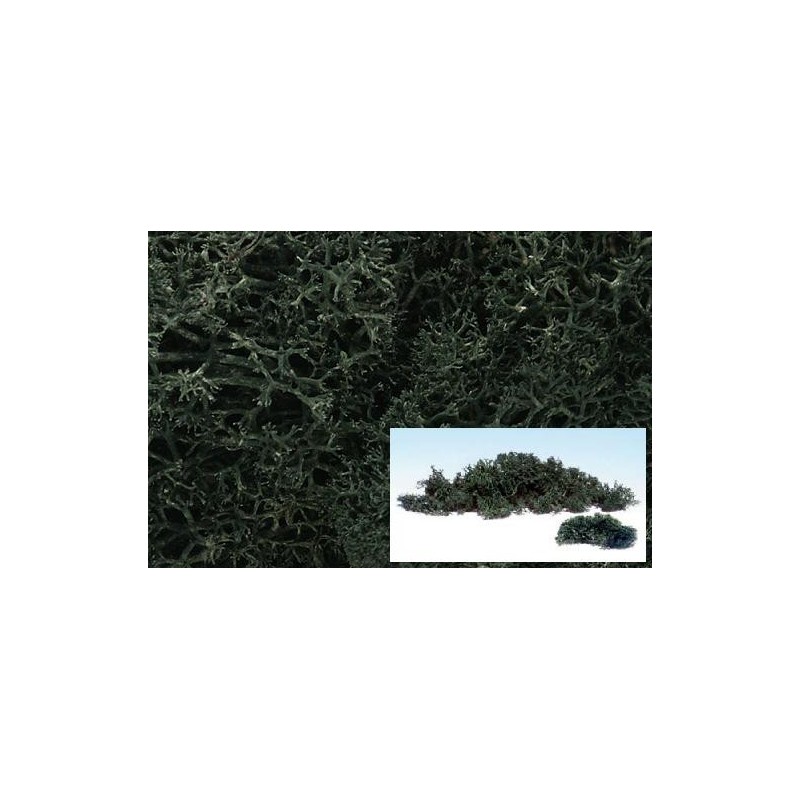 Liquenes color verde oscuro L164 Woodland Scenic