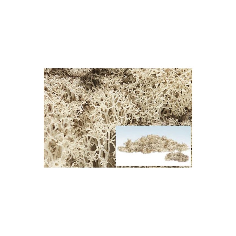 Liquenes color natural L166 Woodland Scenic