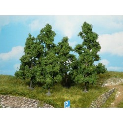 4 árboles frutales de 9 a 11 cm 1931 HEKI