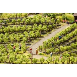 Viñas, 24 unidades, 1,6 cm de alto, 21545 NOCH