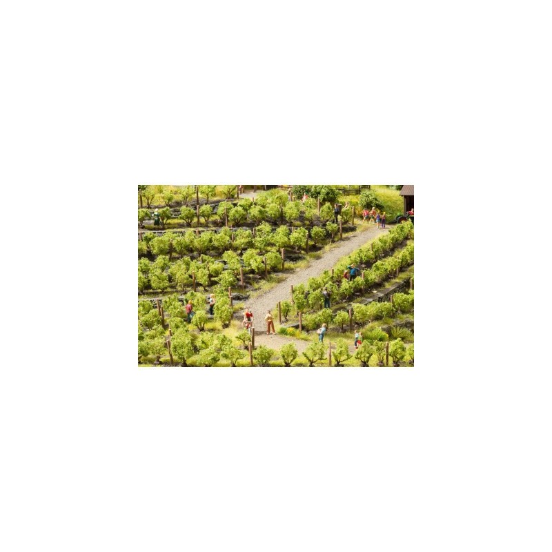 Viñas, 24 unidades, 1,6 cm de alto, 21545 NOCH