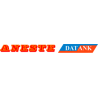 Aneste